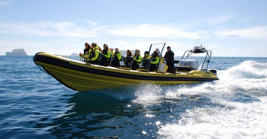 Reykjavik: Whale Watching by RIB Speedboat - A fast start from Reykjavík’s Old Harbor