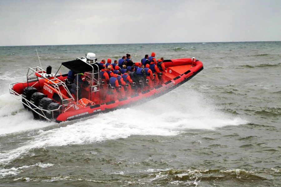 Reykjavik: Whale Watching by RIB Speedboat - Whales, dolphins, and porpoises in the bay