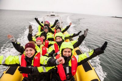 Whale Watching by RIB Speedboat