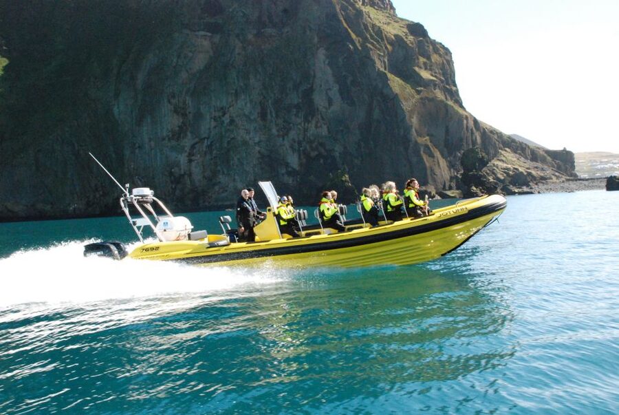 Reykjavik: Whale Watching by RIB Speedboat - Timing your trip for the best chance