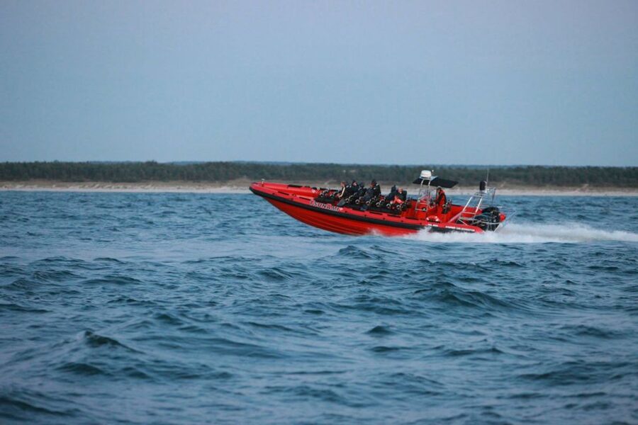 Reykjavik: Whale Watching by RIB Speedboat - Who should book this RIB trip?