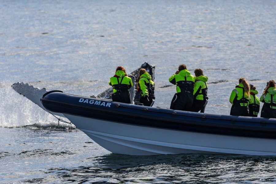 Reykjavik: Whale Watching Tour by RIB Boat - Leaving Reykjavik Harbor at 32 knots