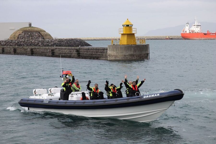 Reykjavik: Whale Watching Tour by RIB Boat - Does $194 offer good value?