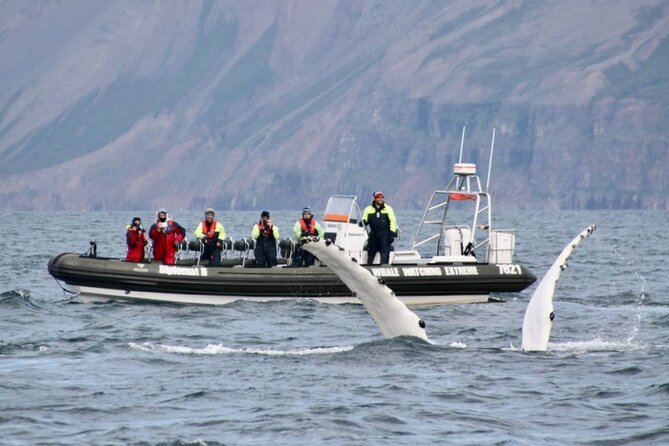 RIB boat express: Whales, Eyjafjord and Akureyri - Staying warm in Icelandic conditions