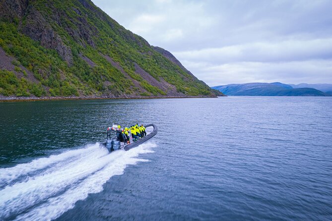 RIB Expedition to Seiland National Park - 3.5h - Bekkarfjord, Seiland’s main stop