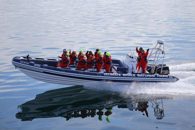 RIB Whale Watching Small-Group Boat Tour from Reykjavik - Why the small group matters