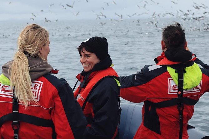 RIB Whale Watching Small-Group Boat Tour from Reykjavik - Searching Faxaflói Bay for whales and dolphins