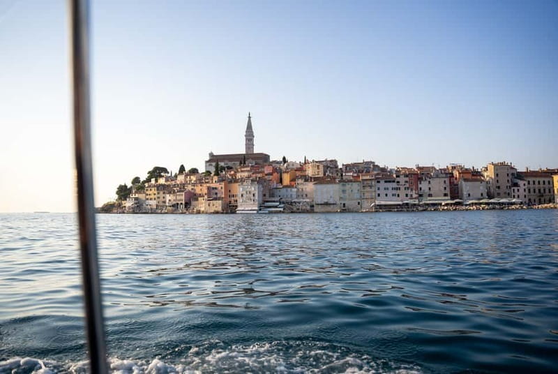 Rovinj: Dolphin Watching Sunset Speedboat Tour with Drinks - Booking details worth knowing