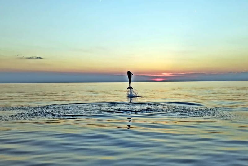 Rovinj: Dolphin Watching Sunset Speedboat Tour with Drinks - The first 15 minutes: Rovinj from the water