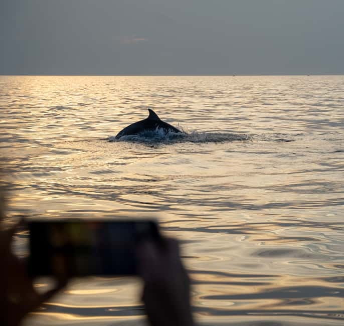 Rovinj: Dolphin Watching Sunset Speedboat Tour with Drinks - Drinks, seating, and comfort on the water