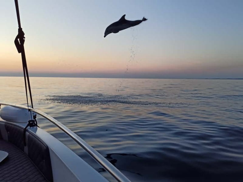 Rovinj: Dolphin Watching Sunset Speedboat Tour with Drinks - The return ride and sunset view of Rovinj