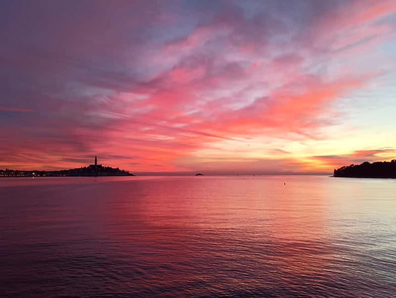 Rovinj: Dolphin Watching Sunset Speedboat Tour with Drinks - Is $74 a fair price?