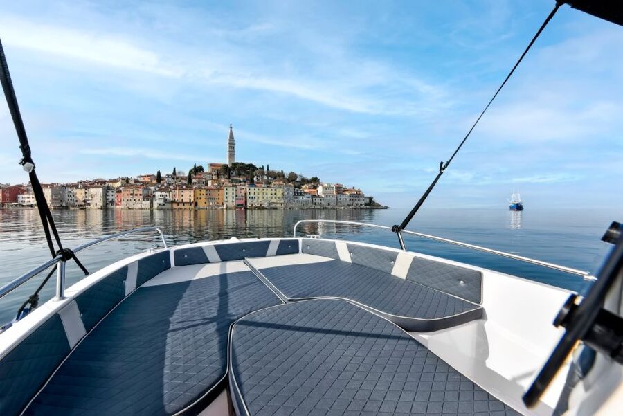 Rovinj: Dolphin Watching Sunset Speedboat Tour with Drinks - Who should book this experience?
