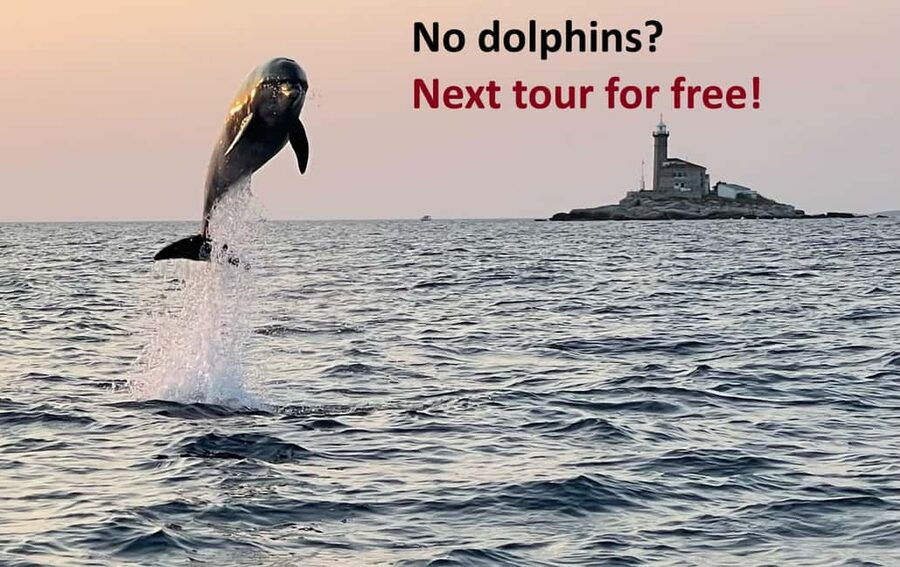 Rovinj: Dolphin Watching Sunset Speedboat Tour with Drinks - Starting at the right pier in Rovinj