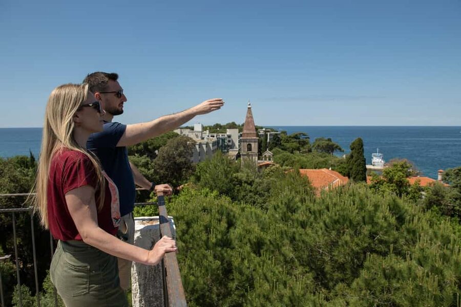 Rovinj or Vrsar: Rovinj Islands and Lim Fjord Speedboat Tour - Figarola and Golden Cape feel closer to Rovinj life