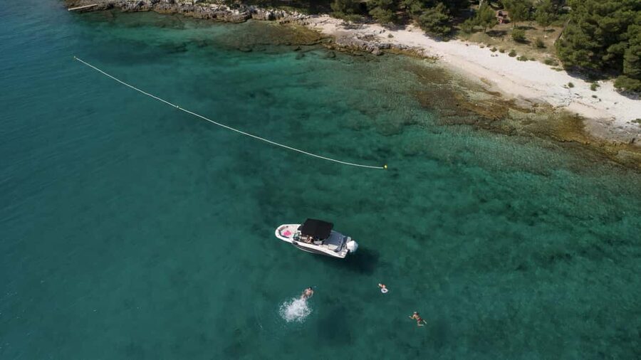 Rovinj: Rovinj Archipelago and South Coves Speedboat Tour - Dolphins, music, and the rhythm of the day