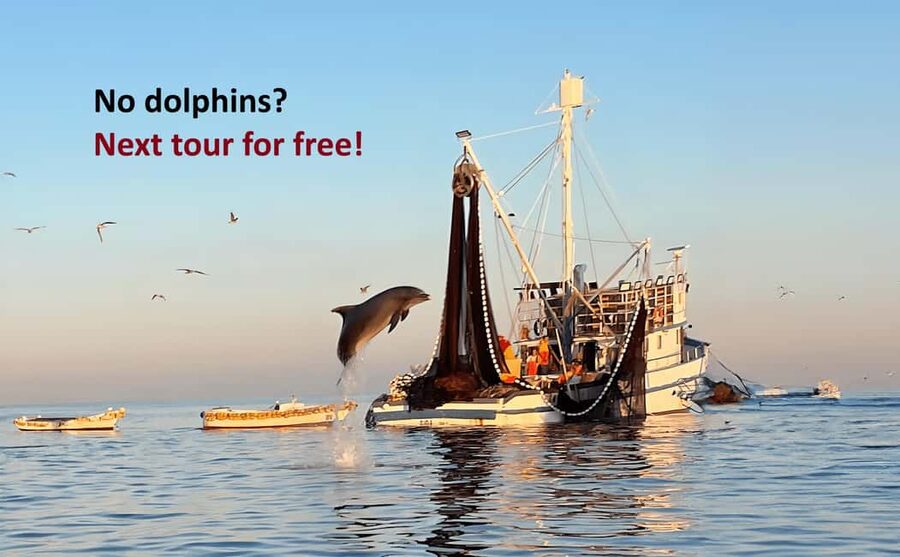 Rovinj: Sunrise Dolphins & Fishermen at Work Speedboat Tour - Why the fishing boats make this dolphin trip different