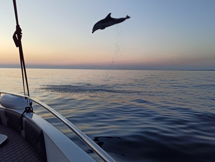 Rovinj: Sunrise Dolphins & Fishermen at Work Speedboat Tour - The ride back brings a different view of Rovinj