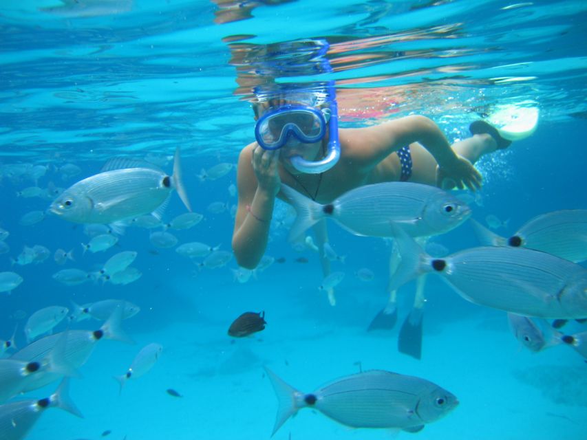 S'Espalmador and Formentera: Snorkeling Trip by RIB Boat - Who should book this trip