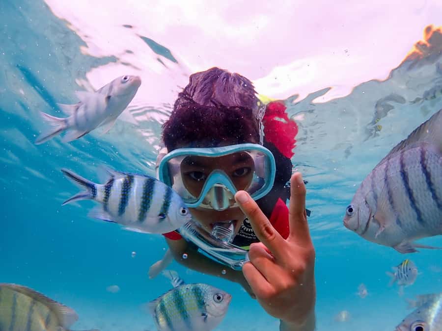 Samaesarn : Finding Nemo Snorkeling Tour Private speedboat - Why Samaesarn works for a short snorkeling trip