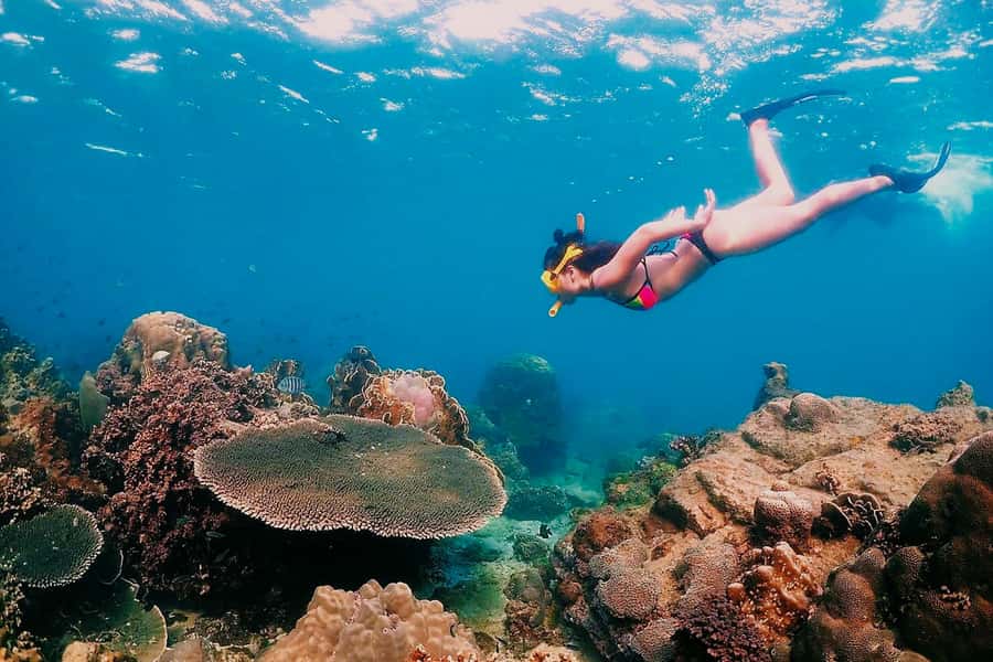 Samaesarn : Finding Nemo Snorkeling Tour Private speedboat - Samae San Island: the final snorkeling stop