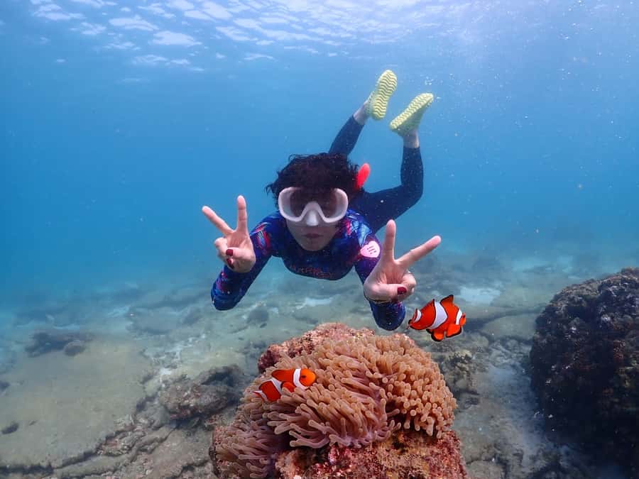 Samaesarn : Finding Nemo Snorkeling Tour Private speedboat - What the private boat adds