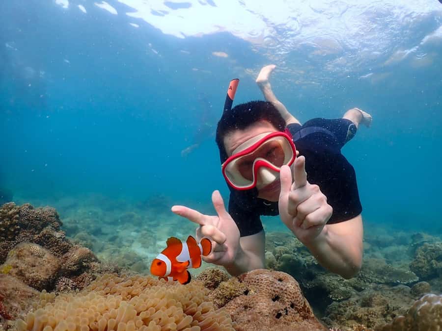 Samaesarn : Finding Nemo Snorkeling Tour Private speedboat - Getting from Pattaya to the pier