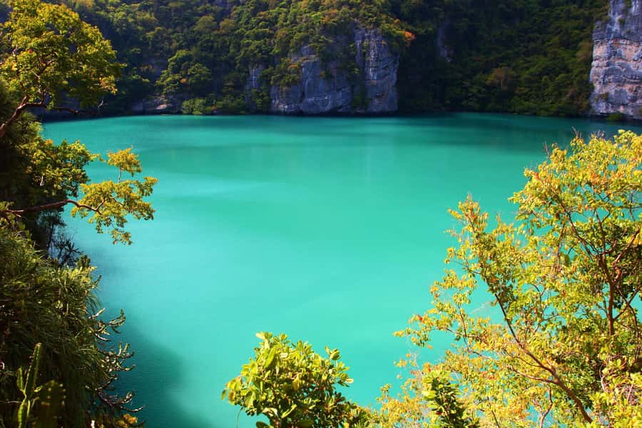 Samui: Angthong National Marine Park Day Trip by Speedboat - Beaches, swimming, and monkeys