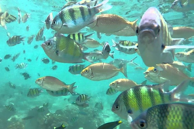 Samui Boat Charter, Private Speedboat Charter, Angthong National Marine Park - The emerald lake and its lookout