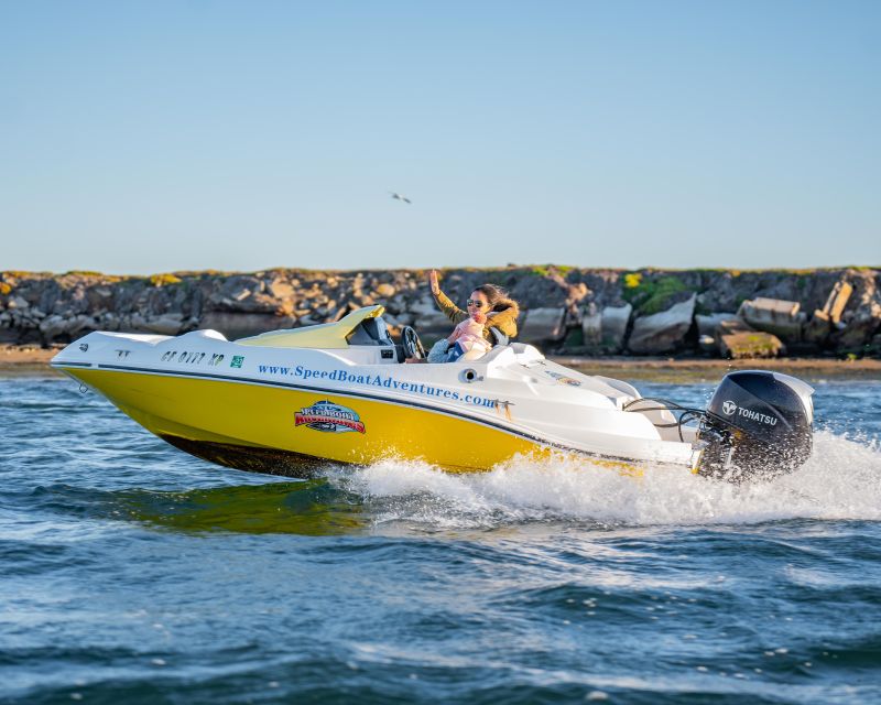 San Diego: Drive Your Own Speed Boat 2-Hour Tour - Should you book the San Diego speedboat tour?