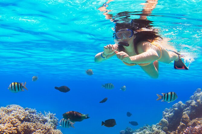 Saona by Speedboat: Private Beach & Snorkeling – Small Group - Snorkeling in clear water near Saona