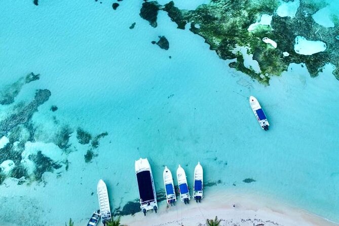Saona by Speedboat: Private Beach & Snorkeling – Small Group - A beach day with lunch, shade and an open bar