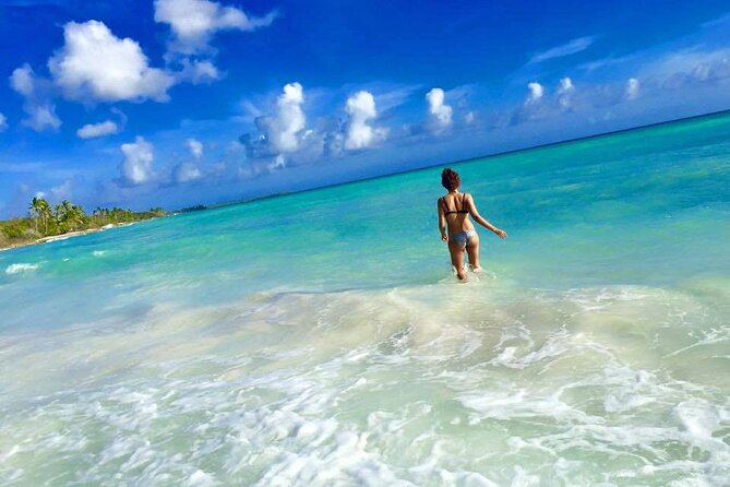 Saona by Speedboat: Private Beach & Snorkeling – Small Group - What $115 buys you