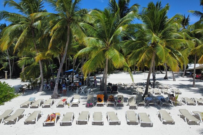 Saona by Speedboat: Private Beach & Snorkeling – Small Group - The cruise ship question: timing matters most