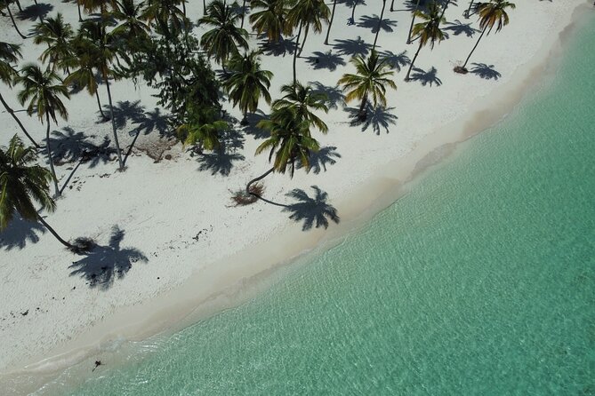 Saona by Speedboat: Private Beach & Snorkeling – Small Group - Who will enjoy this tour most