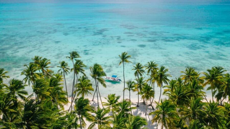 Saona Island: Catamaran/Speedboat Tour to a Dream Beach - Why Saona Island Makes Such a Strong Day Trip