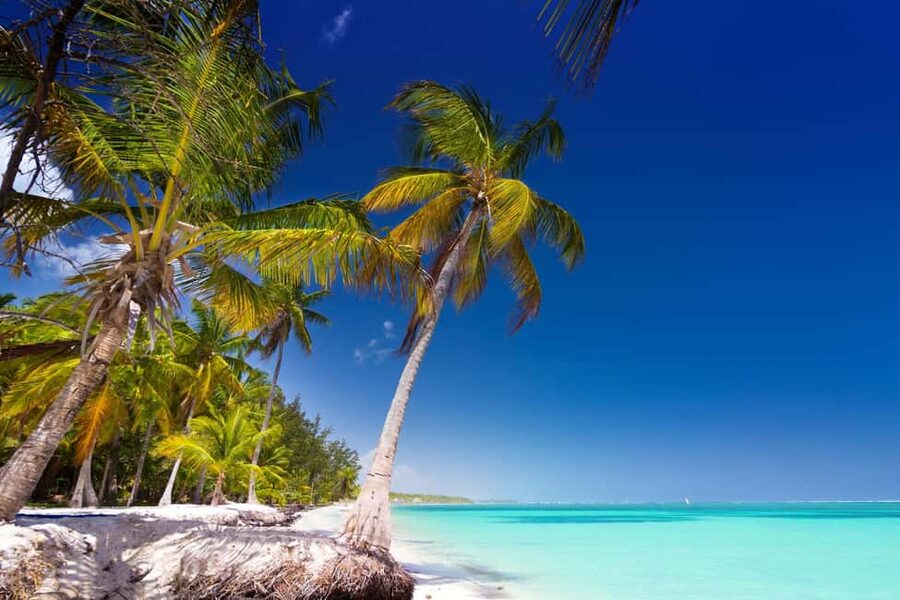 Saona Island: Catamaran/Speedboat Tour to a Dream Beach - What the $89 Price Really Covers