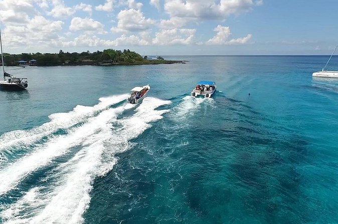 Saona Island Excursion by Catamaran and Speedboat - Speedboat or catamaran: which ride suits you?