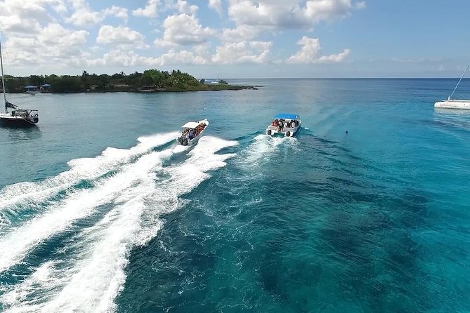 Saona Island Excursion by Catamaran and Speedboat - How the $95 price holds up