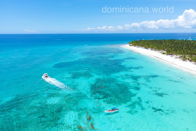 Saona Island, Natural pool Starfish, Fast boat, Catamaran +Dances - Key points to know before booking