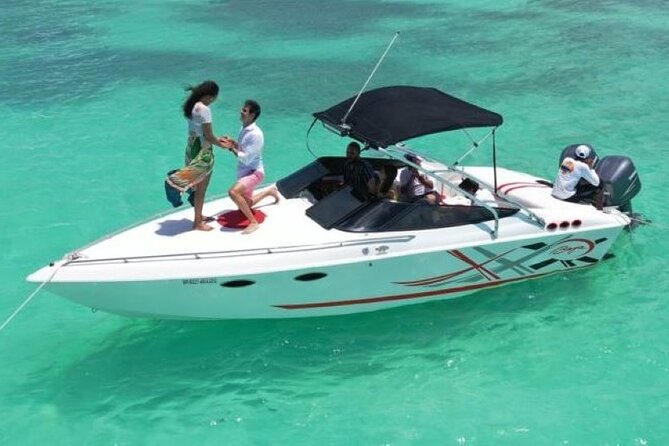 Saona island - Private Tour with a Luxury Speed Boat - A private speedboat day from Bayahibe