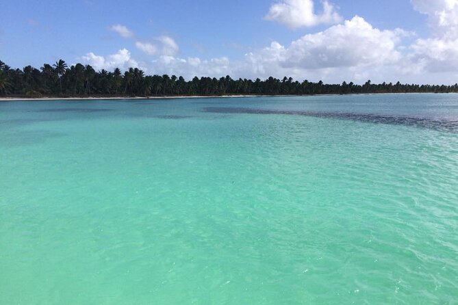 Saona island - Private Tour with a Luxury Speed Boat - Drinks, snacks, and the food question