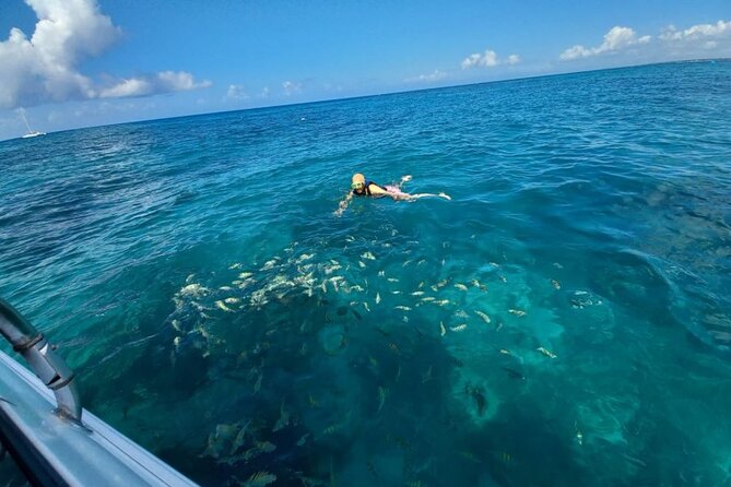Saona island - Private Tour with a Luxury Speed Boat - Who should book this private Saona trip