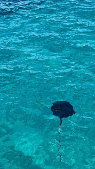 Sarandë Sea Safari: Speedboat to Hidden Coves & Wild Beaches - A fast start from Sarandë Harbor