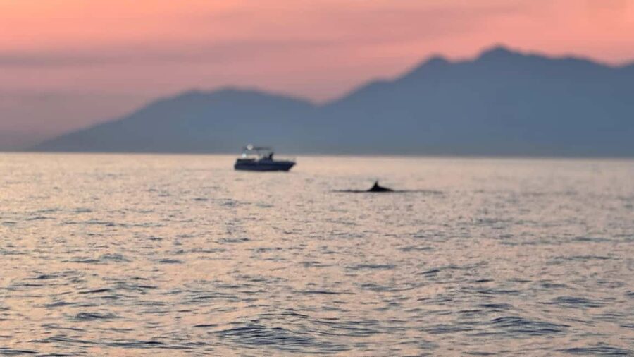 Sarandë Sea Safari: Speedboat to Hidden Coves & Wild Beaches - What to bring and what to expect onboard