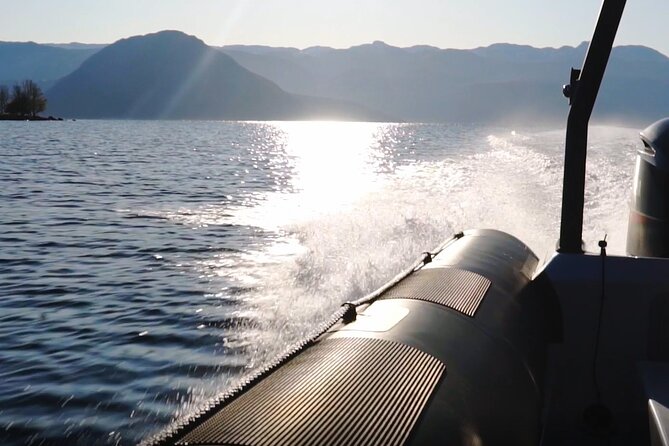 Scenic RIB adventure to Hardangerfjord & Fyksesund from Øystese - Why the Small Group Improves the Experience