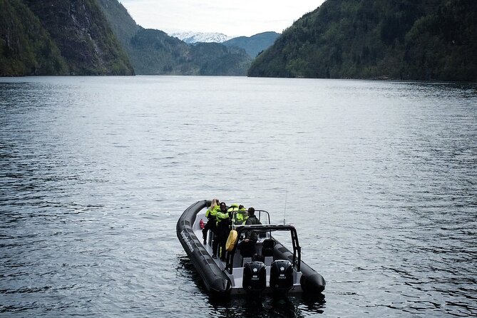 Scenic RIB adventure to Hardangerfjord & Fyksesund from Øystese - Price and Practical Value at $110.29