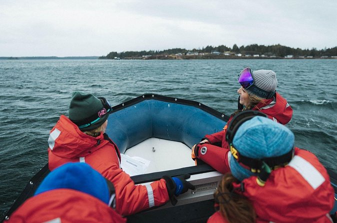 Sea Prince Rupert City and Harbour Shared Zodiac Tour - The port complex from the water