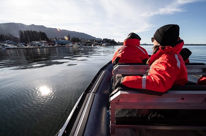 Sea Prince Rupert City and Harbour Shared Zodiac Tour - Wildlife along the Great Bear Rainforest coast