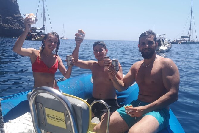 SEA SAFARI Dolphins, Whales, 3h speedboat DISCOVERY-TOUR - Key things to know before booking
